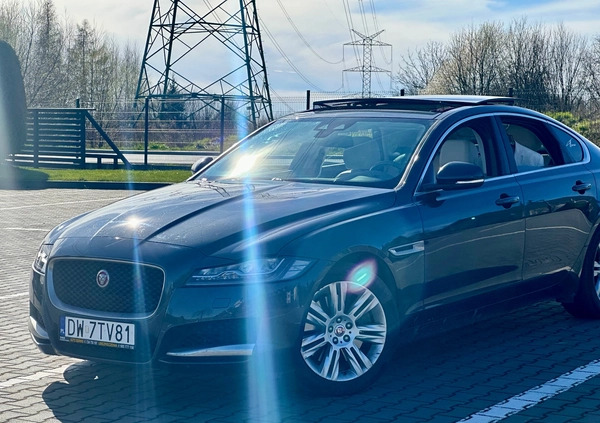 Jaguar XF cena 80000 przebieg: 115509, rok produkcji 2016 z Kraków małe 704